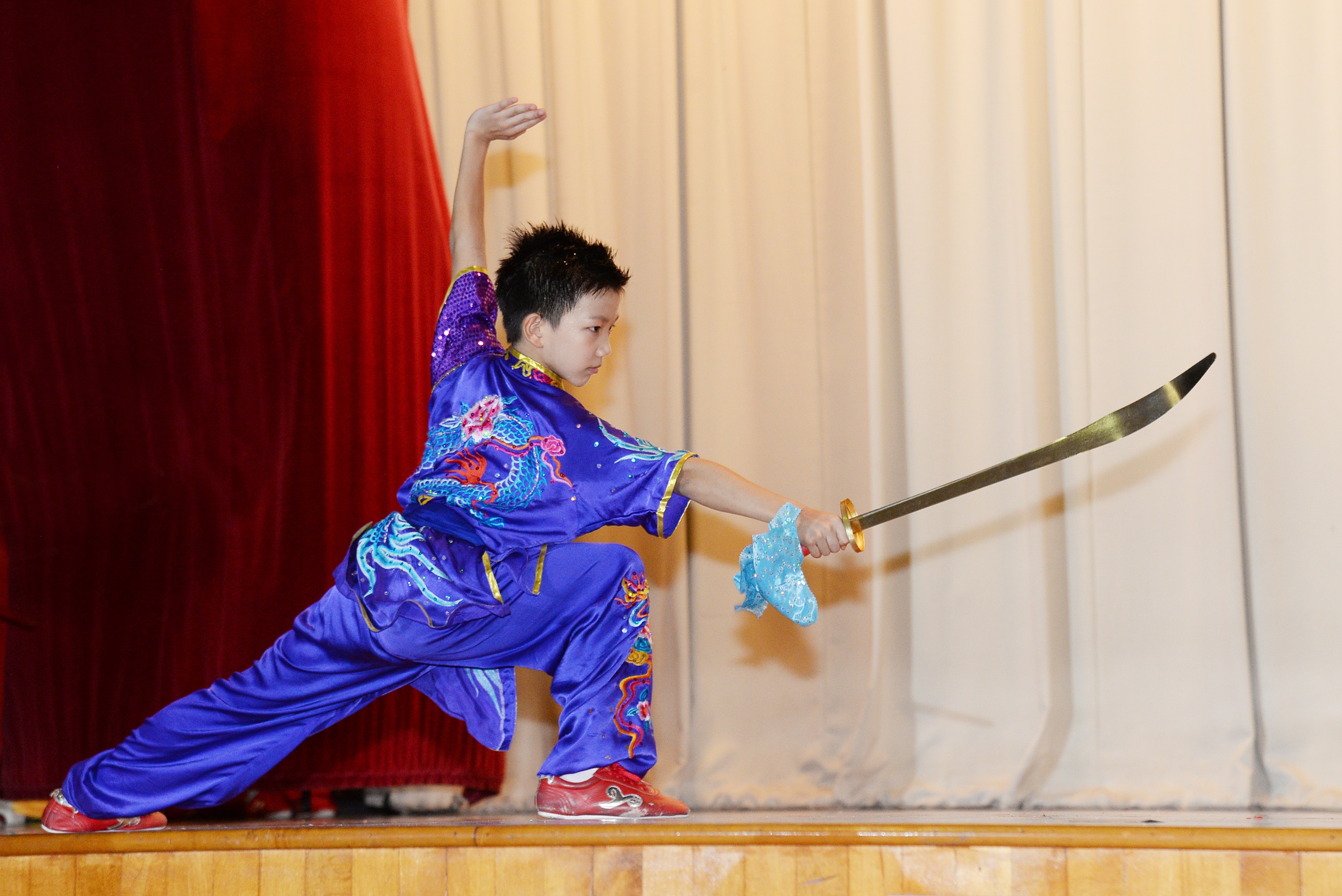 Wushu